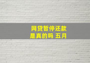 网贷暂停还款是真的吗 五月